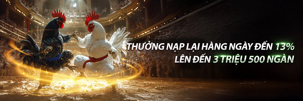 Hình ảnh chính kuwin code - Nền tảng cá cược trực tuyến hàng đầu
